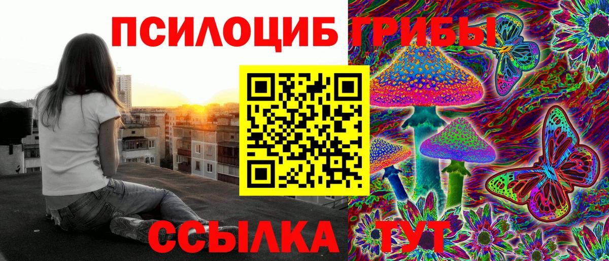 Галлюциногенные грибы ЛСД  Вход с VPN  Гусь-Хрустальный  Псилоцибиновые грибы Psilocybe 